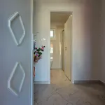 Volta Rakalj